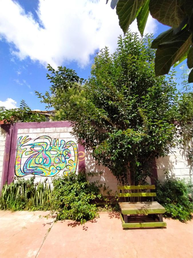 Lipi House Hostel San Cristóbal de Las Casas エクステリア 写真