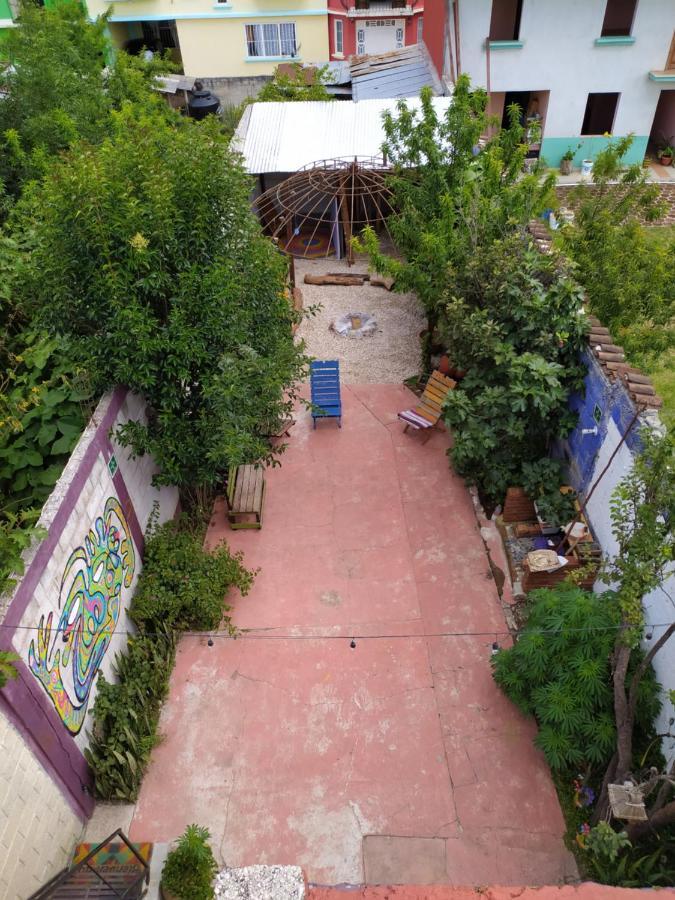 Lipi House Hostel San Cristóbal de Las Casas エクステリア 写真
