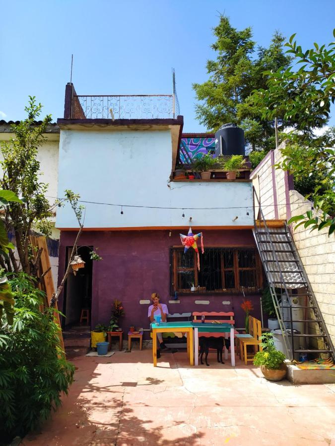 Lipi House Hostel San Cristóbal de Las Casas エクステリア 写真