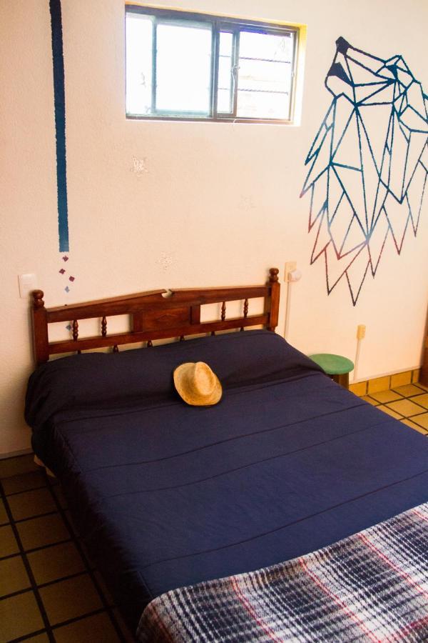 Lipi House Hostel San Cristóbal de Las Casas エクステリア 写真
