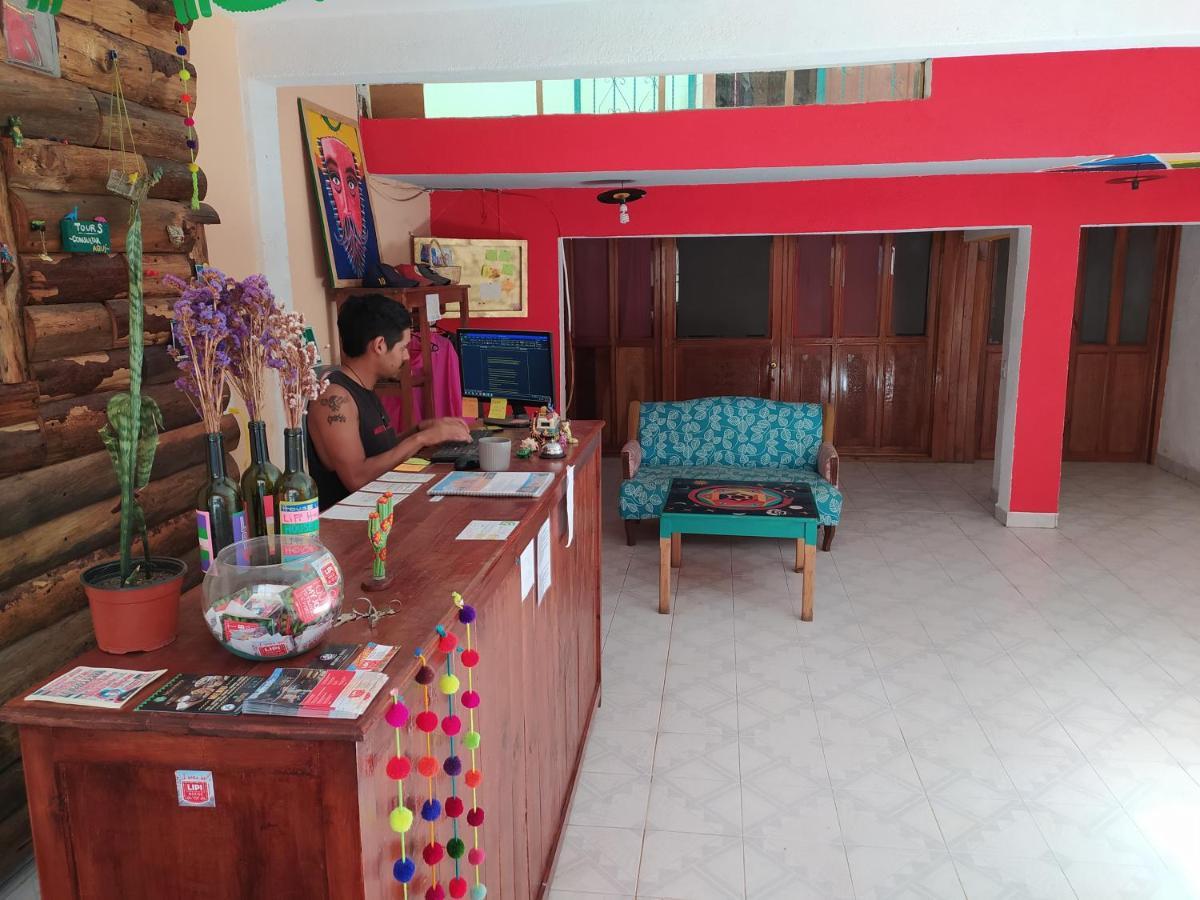 Lipi House Hostel San Cristóbal de Las Casas エクステリア 写真