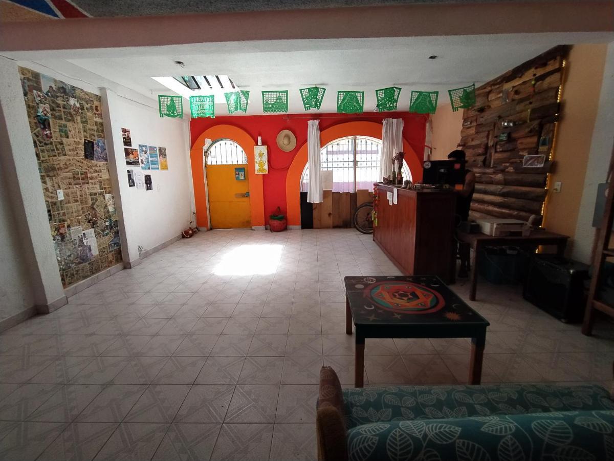 Lipi House Hostel San Cristóbal de Las Casas エクステリア 写真