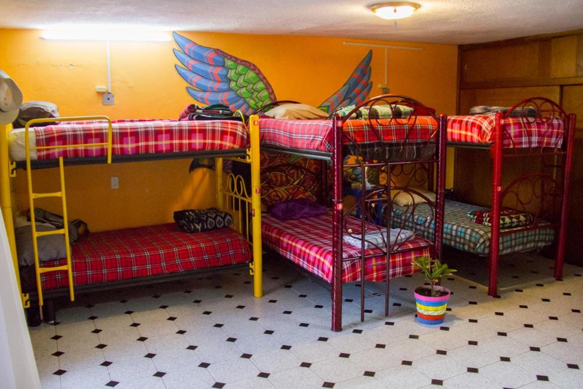 Lipi House Hostel San Cristóbal de Las Casas エクステリア 写真