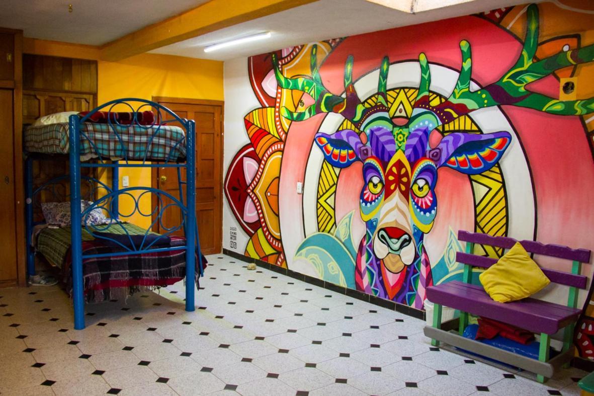 Lipi House Hostel San Cristóbal de Las Casas エクステリア 写真