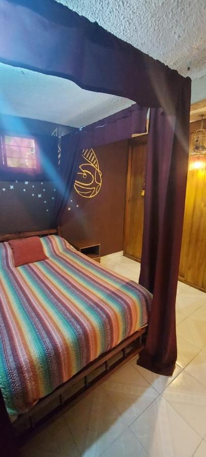 Lipi House Hostel San Cristóbal de Las Casas エクステリア 写真